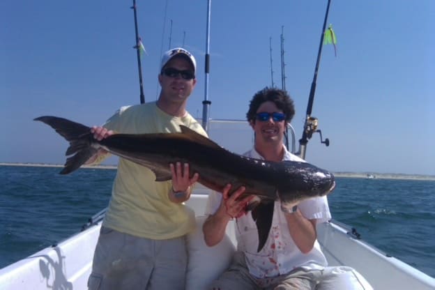 Cobia catch on the Outer Banks