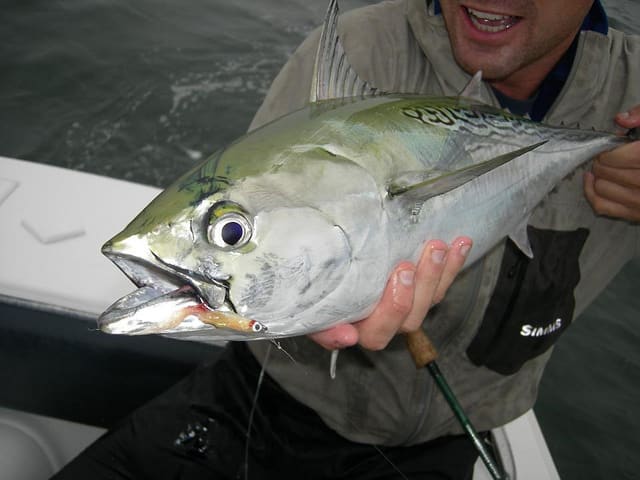 Outer Banks Fly Fishing Saltwater