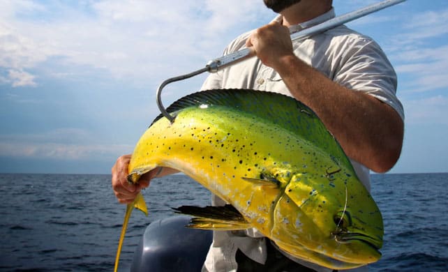 Outer Banks offshore fishing