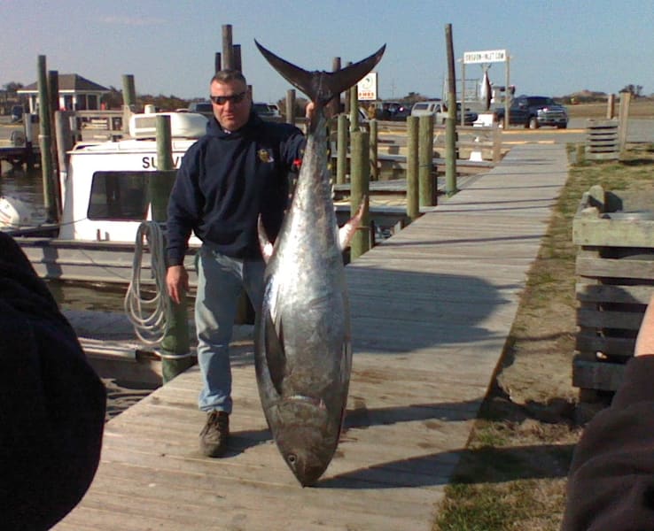 Big winter catfish catch