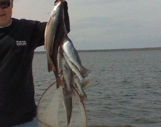 Winter catfish catch